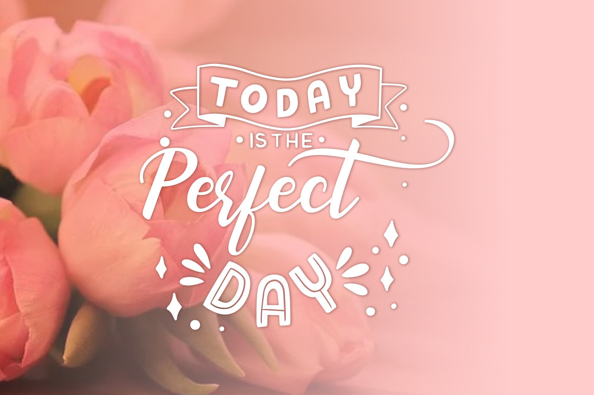 Thunder elegant script font detail image showing alternate glyphs and connected swashes