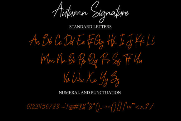 Autumn Signature Font - Preview 5