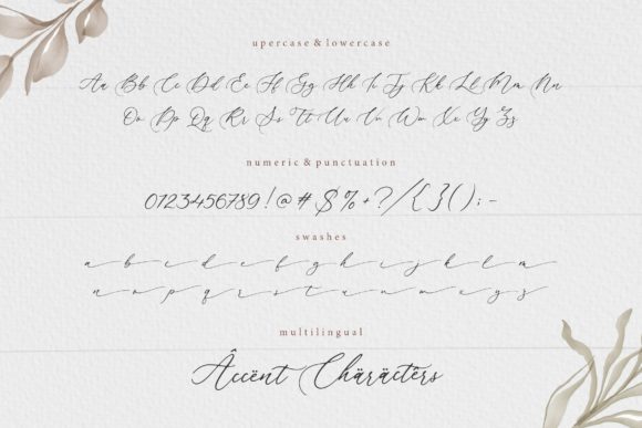 Beautica Beautiful Calligraphy Font - Preview 5