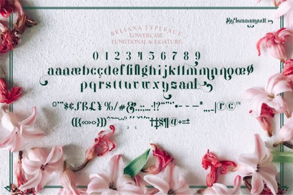Beliana Font - Preview 2