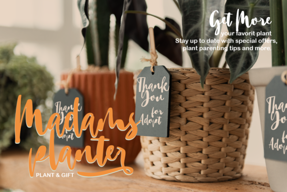 Big Fat Beauty Font - Preview 6