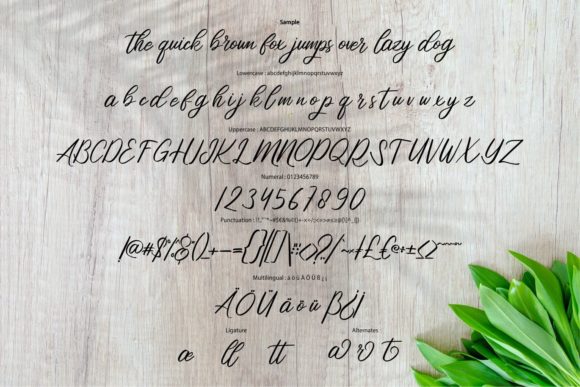 Catha Font - Preview 5