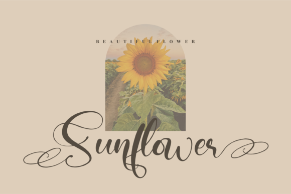 Monday Honey Font font preview - 5