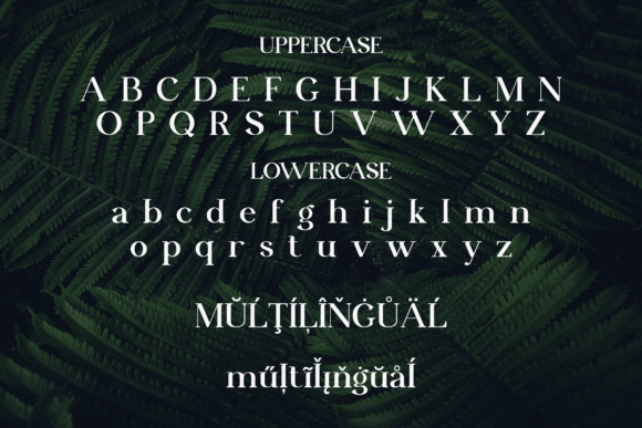 Relishia Font PNG with transparent background - Preview 5