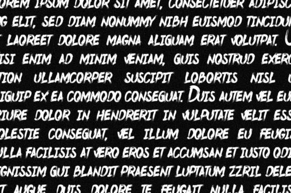 Bahula Font - Preview 4