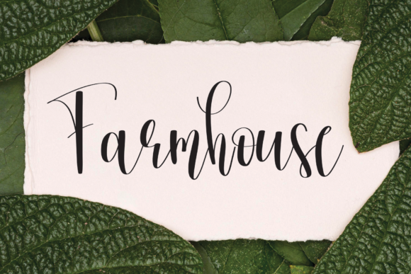 Coffee Milk Font - Preview 2