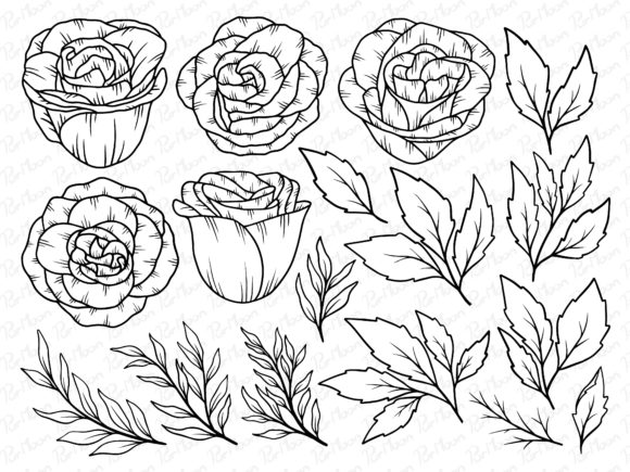 Flower Line Art Graphic Illustrations By PurMoon