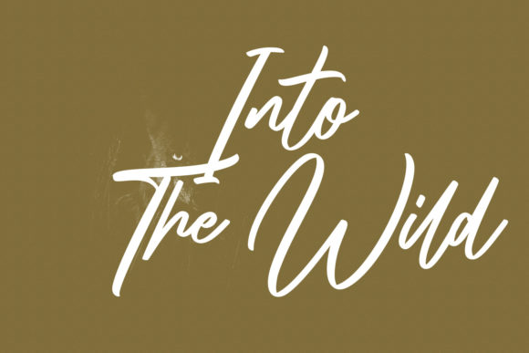 Shadyspeed Script Font Font PNG with transparent background - Preview 6