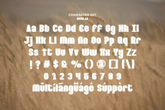Barley Round Font - Preview 3