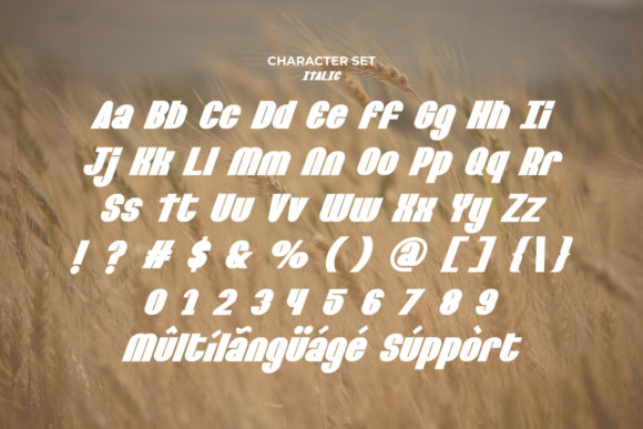 Barley Round Font - Preview 6