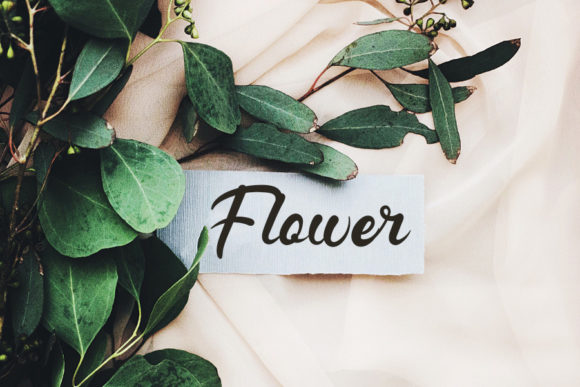 Caramel Font - Preview 3