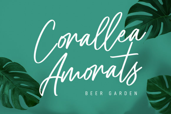 Cellarets Signature Font - Preview 2