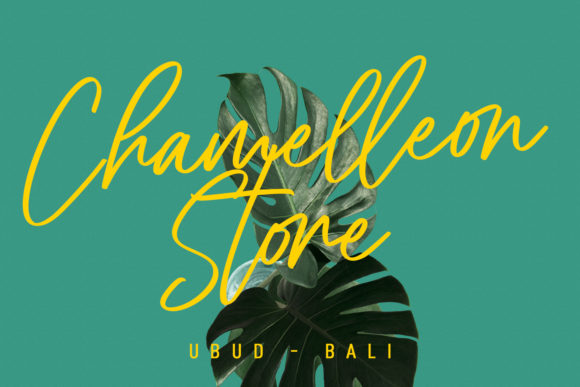 Cellarets Signature Font - Preview 4