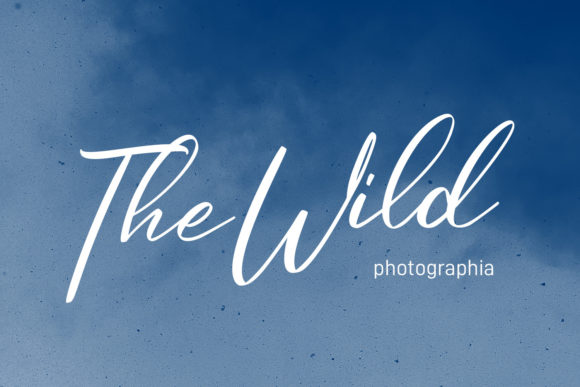 Cosbycorwin Script Font PNG with transparent background - Preview 2