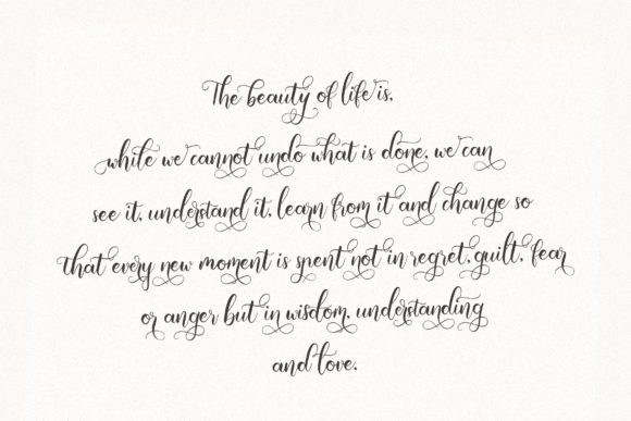 Emila Script Font - Preview 3