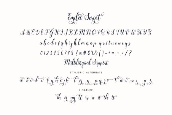 Emila Script Font - Preview 6