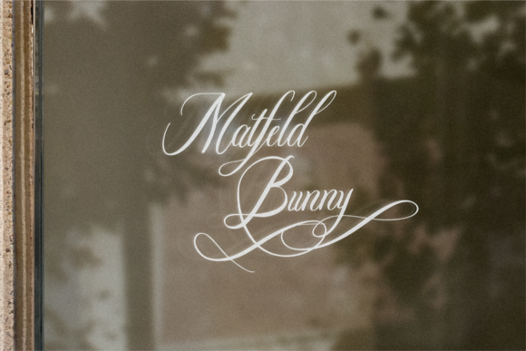 Holdywood Font PNG with transparent background - Preview 2