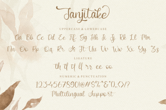 Janjitake Font PNG with transparent background - Preview 6