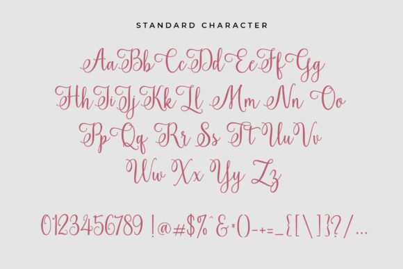 Ardista Script Font - Preview 6