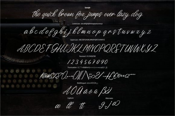 Astilena Font - Preview 5