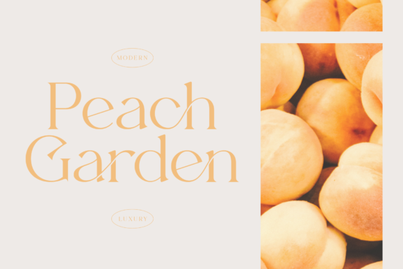 Beverly Font - Preview 1