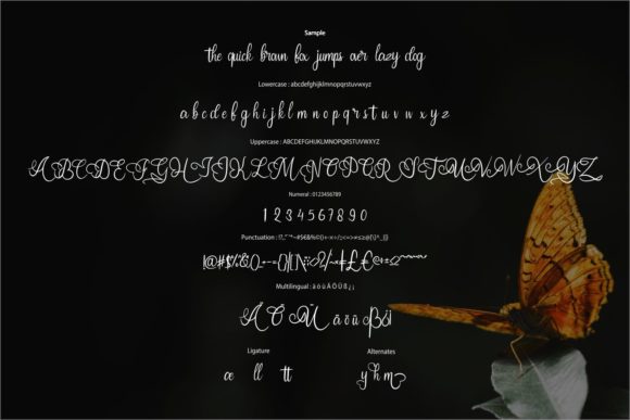 Butterfly Font - Preview 5