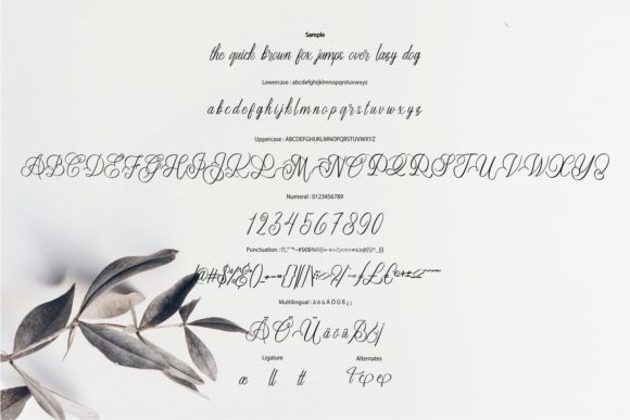 Carllote Font - Preview 5