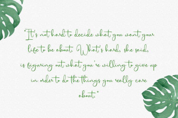 Citrus Cycle Script Font - Preview 1
