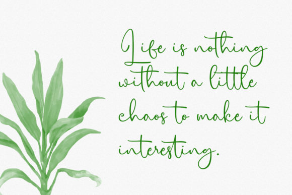 Citrus Cycle Script Font - Preview 4