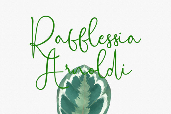 Citrus Cycle Script Font - Preview 5
