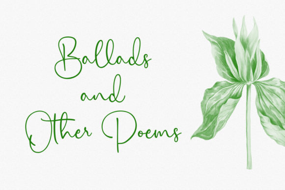 Citrus Cycle Script Font - Preview 6