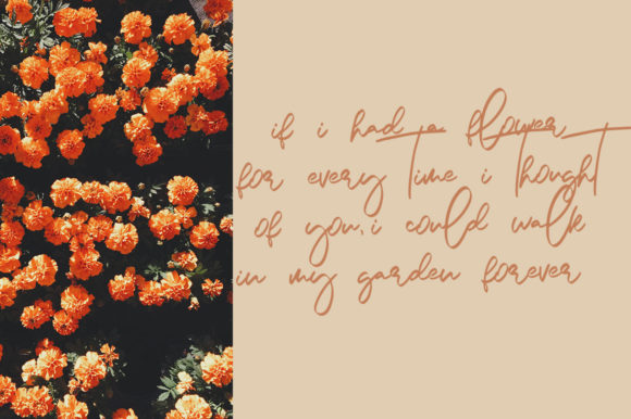 Crystal Lake Font PNG with transparent background - Preview 3