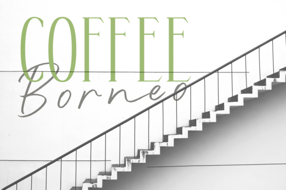Double Aunofa Font - Preview 2