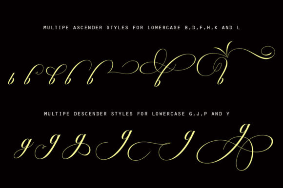 Octagon Calligraphy Font PNG with transparent background - Preview 3