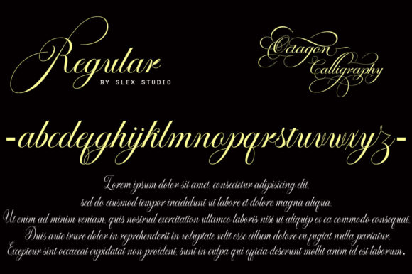 Octagon Calligraphy Font PNG with transparent background - Preview 4