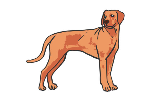 Adesivo per finestrino auto - Rhodesian Ridgeback a bordo - Cartello con cane leone africano - V01