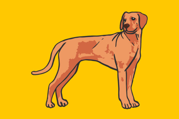 Trixie Stretcher Voor Hond Donkergrijs / Petrol slechts € 49,99 voor Trixie Stretcher Voor Hond Donkergrijs / Petrol slechts € 49,99 voor