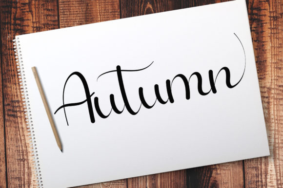 Bridgatte Font - Preview 4
