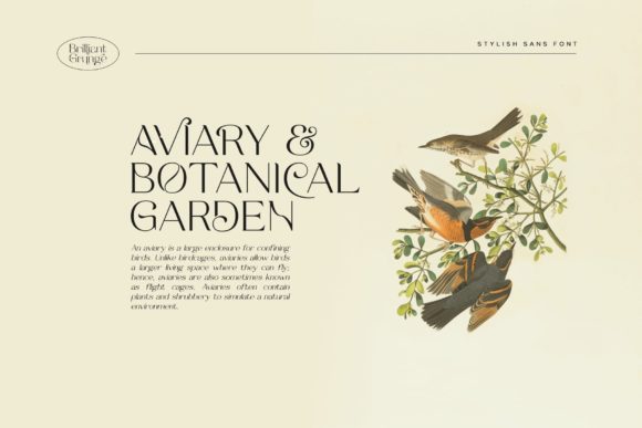 Brilliant Grunge Font - Preview 4