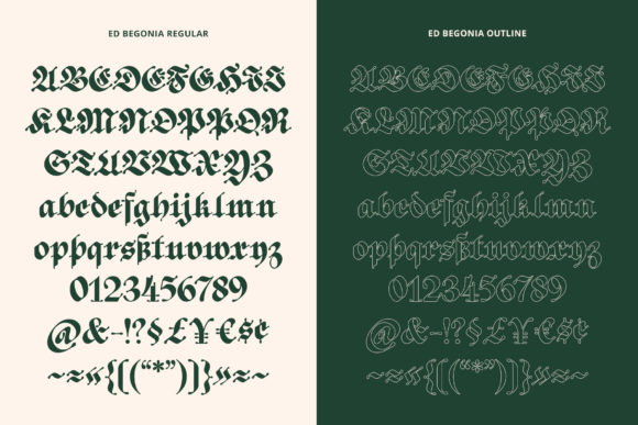 ED Begonia Font PNG with transparent background - Preview 4