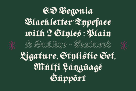ED Begonia Font PNG with transparent background - Preview 5