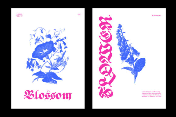 ED Begonia Font PNG with transparent background - Preview 6