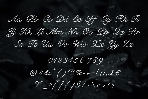 First Love Font - Preview 5