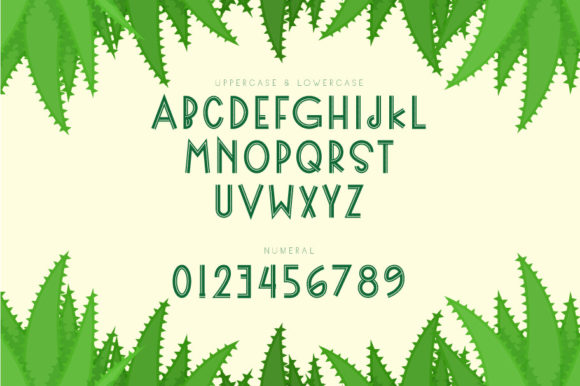 Nipaom Font PNG with transparent background - Preview 1