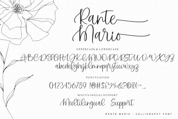 Rante Mario Font PNG with transparent background - Preview 6
