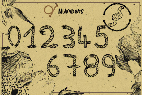 Rope 1969 Font PNG with transparent background - Preview 1