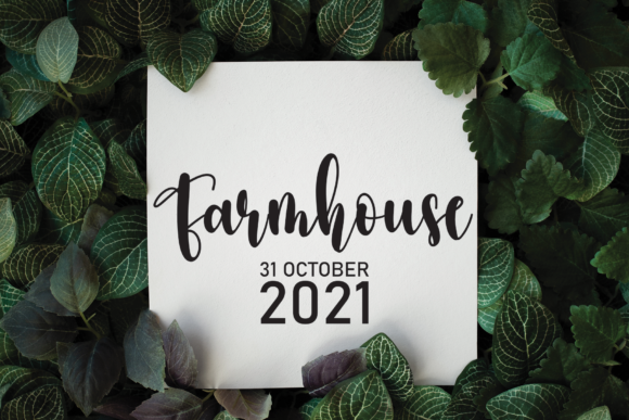 Amellinda Font - Preview 2