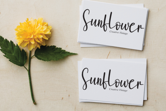 Ashley Felhan Font - Preview 3