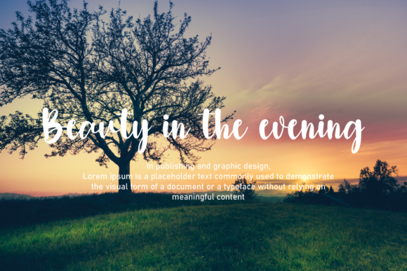 Beautiful Font - Preview 5