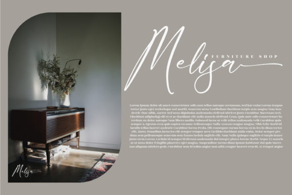 Delistaria Signature Font - Preview 5